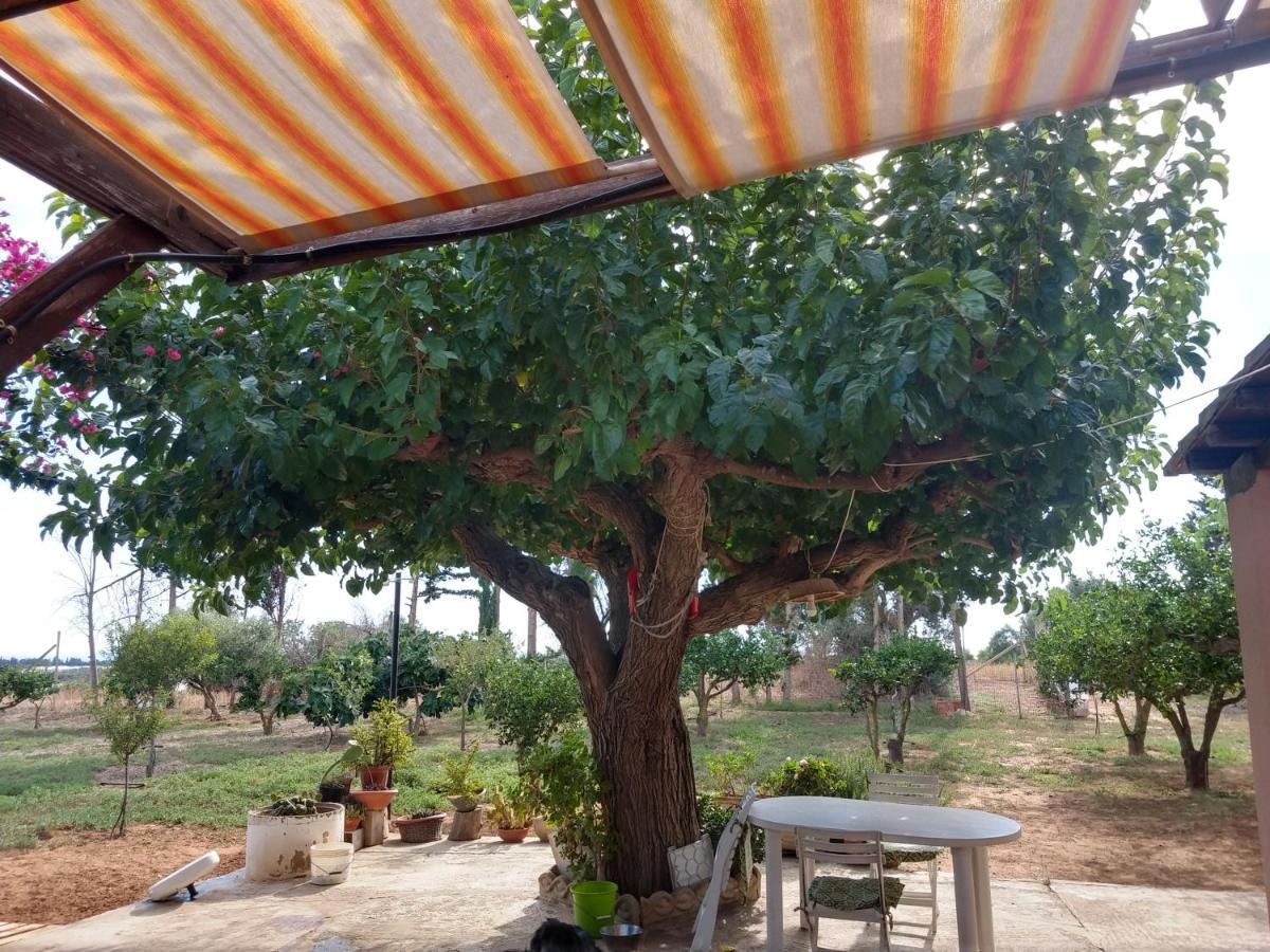 Il gazebo Panzió Scoglitti Kültér fotó